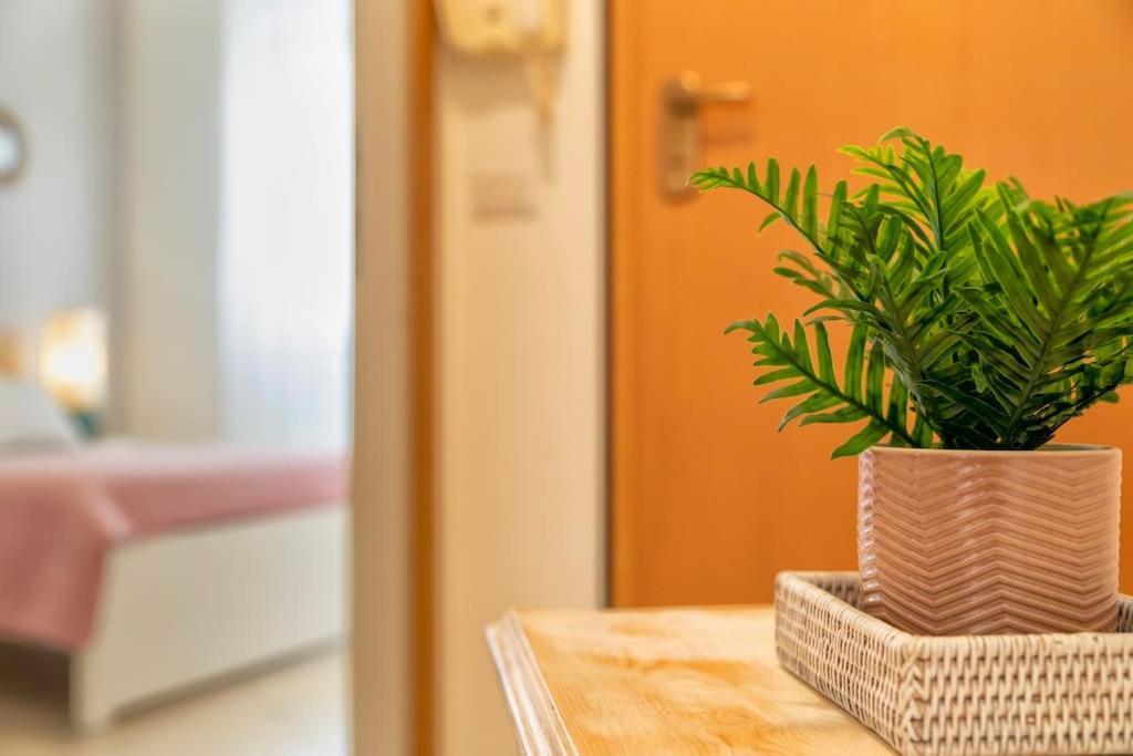 Antine 54 - Magnolia Holidays Alghero Luaran gambar